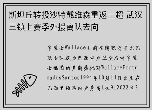 斯坦丘转投沙特戴维森重返土超 武汉三镇上赛季外援离队去向