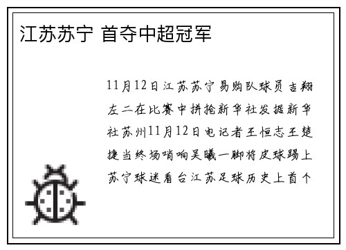 江苏苏宁 首夺中超冠军
