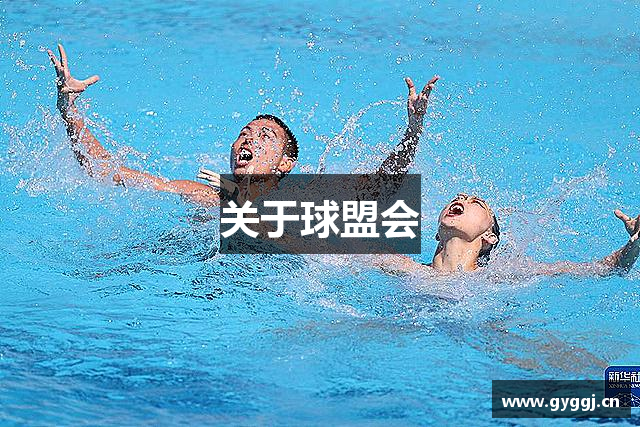 关于球盟会